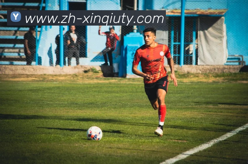 新球体育服务体系